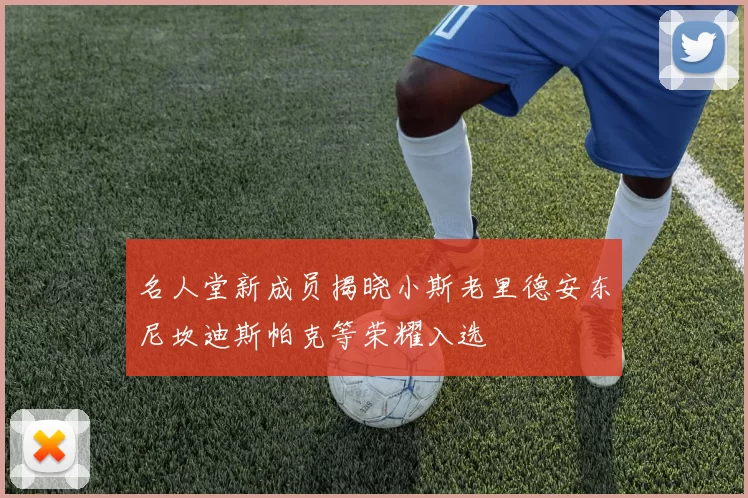 名人堂新成员揭晓小斯老里德安东尼坎迪斯帕克等荣耀入选